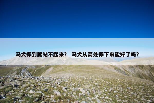 马犬摔到腿站不起来？ 马犬从高处摔下来能好了吗？