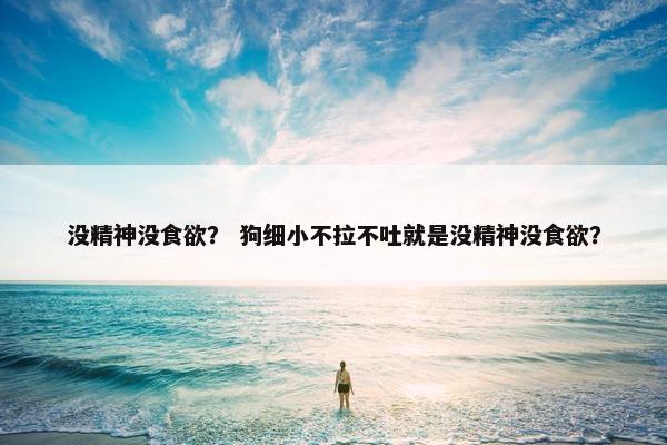 没精神没食欲？ 狗细小不拉不吐就是没精神没食欲？