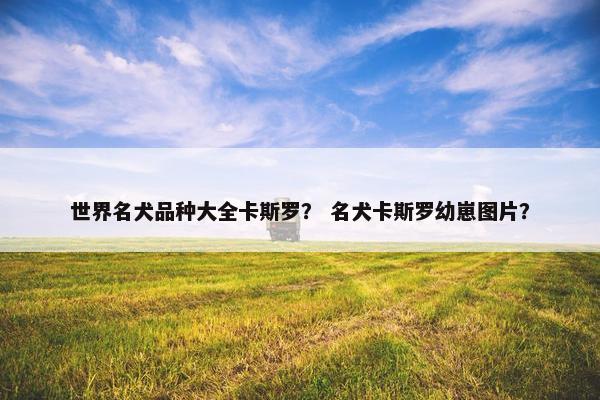 世界名犬品种大全卡斯罗？ 名犬卡斯罗幼崽图片？