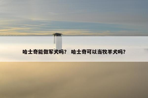 哈士奇能做军犬吗？ 哈士奇可以当牧羊犬吗？