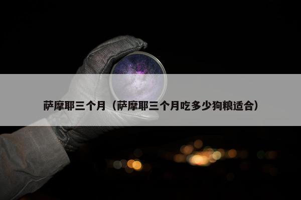 萨摩耶三个月（萨摩耶三个月吃多少狗粮适合）