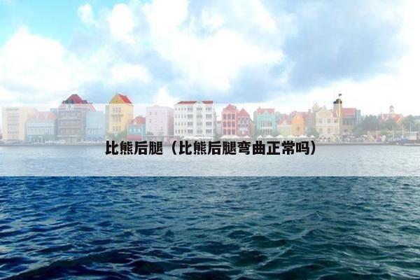 比熊后腿(比熊后腿弯曲正常吗) 比熊后腿(比熊后腿弯曲正常吗)