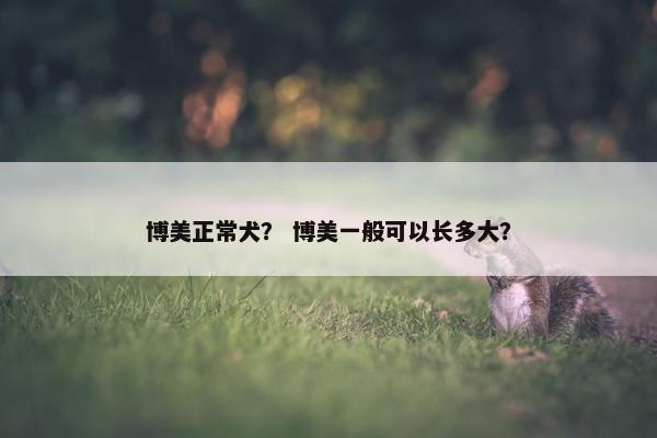 博美正常犬？ 博美一般可以长多大？