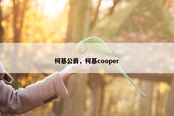 柯基公爵，柯基cooper