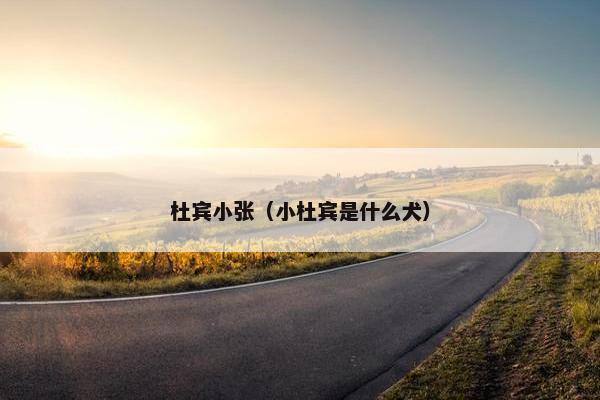 杜宾小张（小杜宾是什么犬）