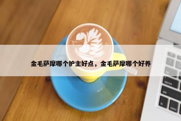 金毛萨摩哪个护主好点，金毛萨摩哪个好养
