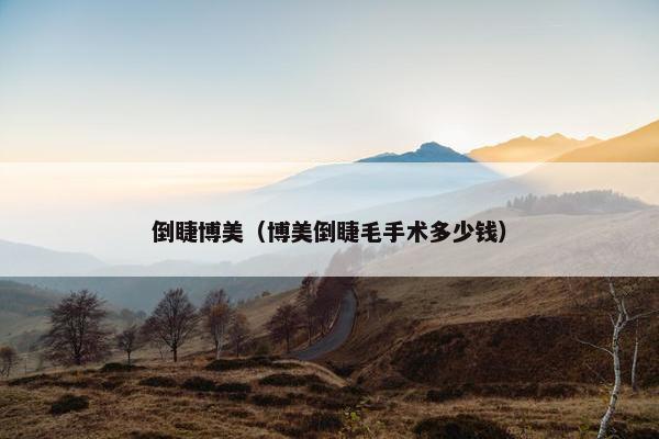 倒睫博美(博美倒睫毛手术多少钱) 倒睫博美(博美倒睫毛手术多少钱)