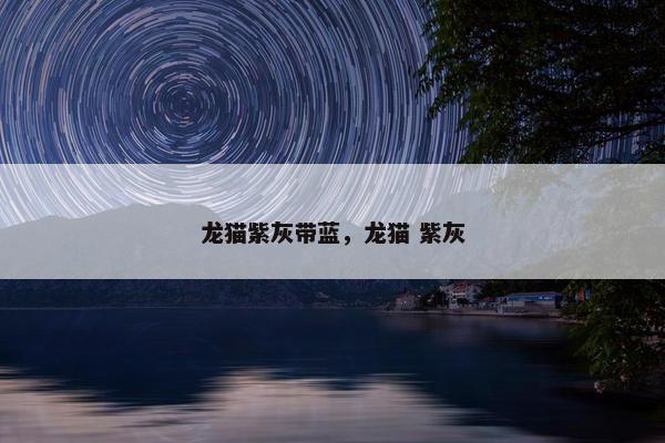 龙猫紫灰带蓝，龙猫 紫灰