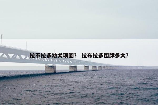 拉不拉多幼犬项圈？ 拉布拉多围脖多大？