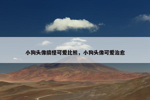 小狗头像搞怪可爱比熊，小狗头像可爱治愈