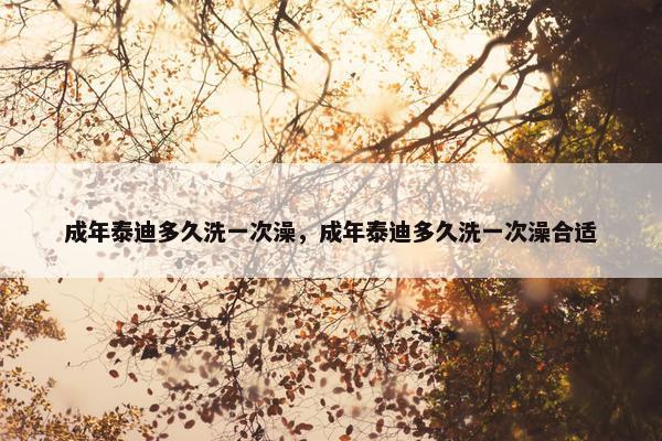 成年泰迪多久洗一次澡，成年泰迪多久洗一次澡合适