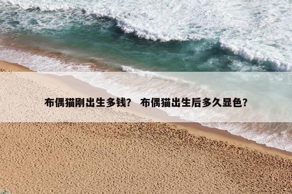 布偶猫刚出生多钱? 布偶猫出生后多久显色?