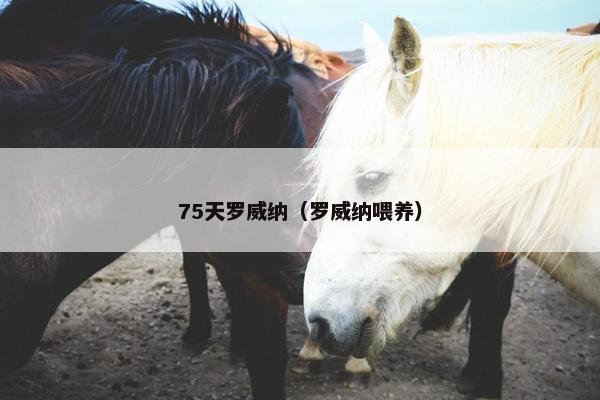 75天罗威纳(罗威纳喂养)