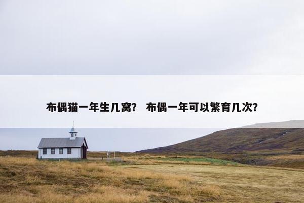 布偶猫一年生几窝? 布偶一年可以繁育几次?