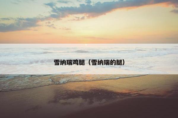 雪纳瑞鸡腿（雪纳瑞的腿）