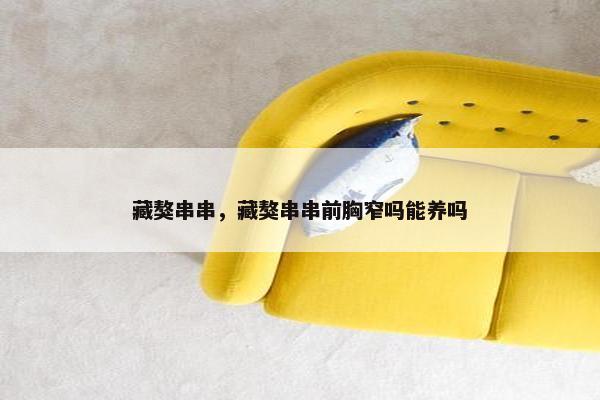 藏獒串串,藏獒串串前胸窄吗能养吗