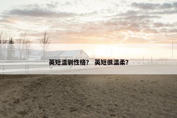 英短温驯性格？ 英短很温柔？