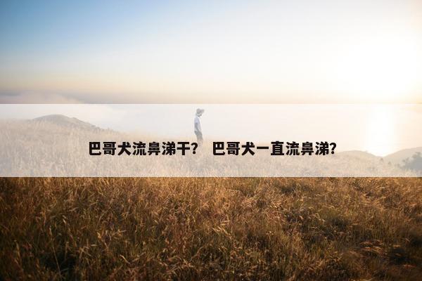 巴哥犬流鼻涕干？ 巴哥犬一直流鼻涕？