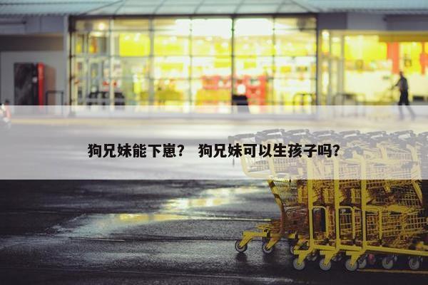 狗兄妹能下崽? 狗兄妹可以生孩子吗?