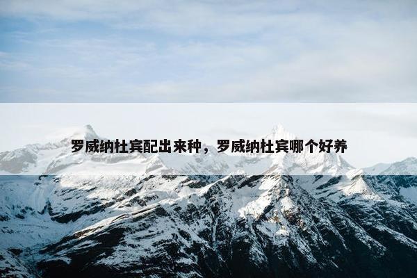 罗威纳杜宾配出来种,罗威纳杜宾哪个好养