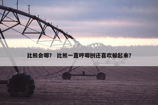 比熊会唧？ 比熊一直哼唧刨还喜欢躲起来？