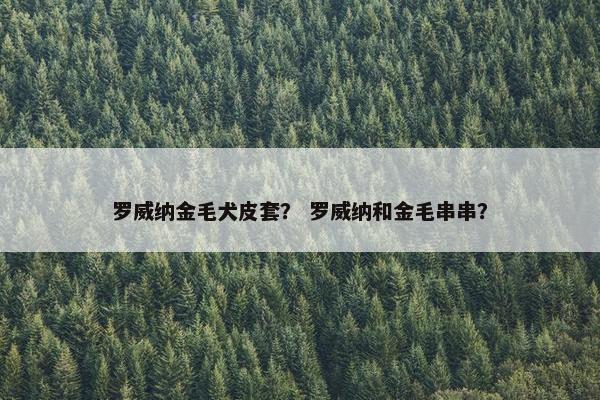 罗威纳金毛犬皮套? 罗威纳和金毛串串?