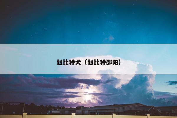 赵比特犬(赵比特邵阳)