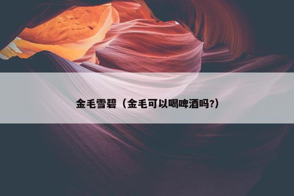 金毛雪碧(金毛可以喝啤酒吗?)