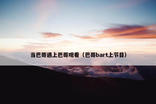 当巴哥遇上巴哥观看（巴哥bart上节目）