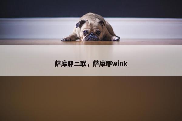 萨摩耶二联,萨摩耶wink