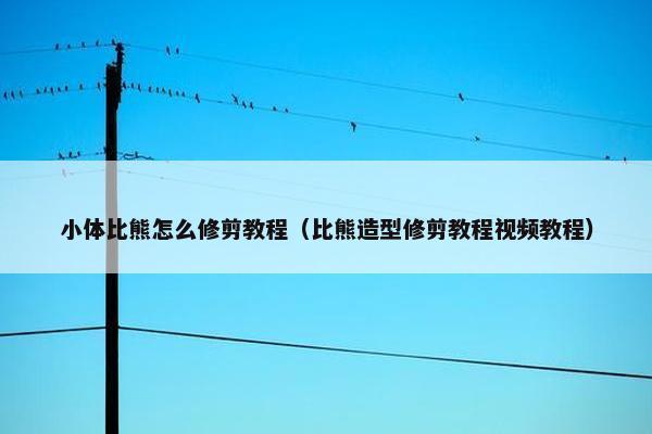 小体比熊怎么修剪教程(比熊造型修剪教程视频教程)