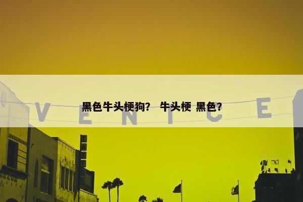 黑色牛头梗狗？ 牛头梗 黑色？