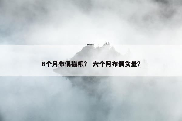 6个月布偶猫粮？ 六个月布偶食量？
