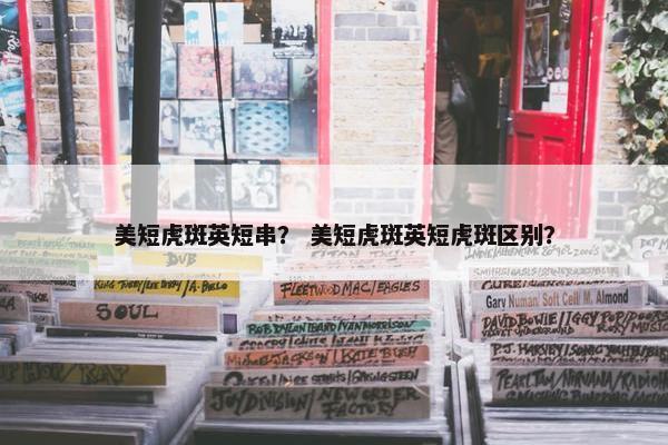 美短虎斑英短串？ 美短虎斑英短虎斑区别？