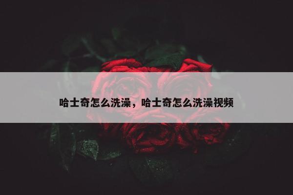 哈士奇怎么洗澡，哈士奇怎么洗澡视频