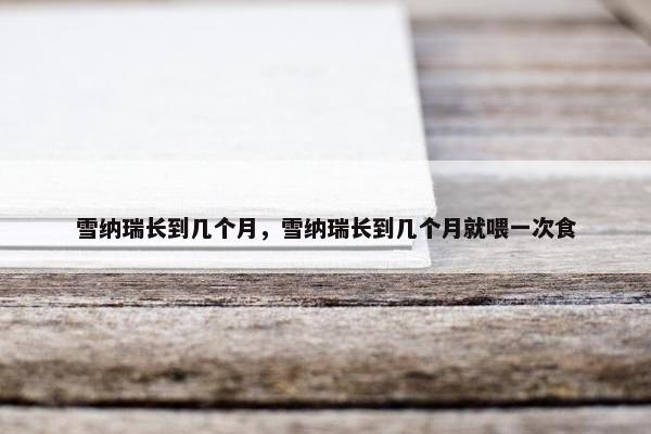 雪纳瑞长到几个月，雪纳瑞长到几个月就喂一次食
