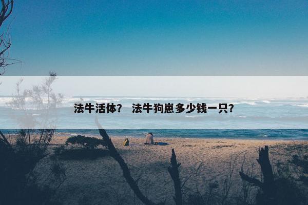 法牛活体？ 法牛狗崽多少钱一只？