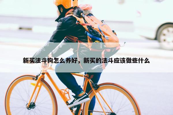 新买法斗狗怎么养好，新买的法斗应该做些什么