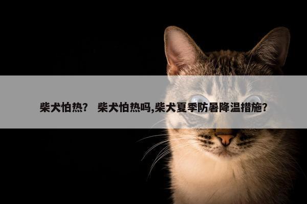 柴犬怕热？ 柴犬怕热吗,柴犬夏季防暑降温措施？