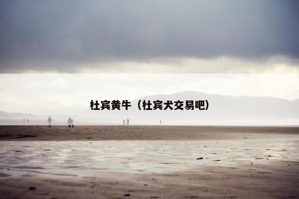 杜宾黄牛(杜宾犬交易吧)