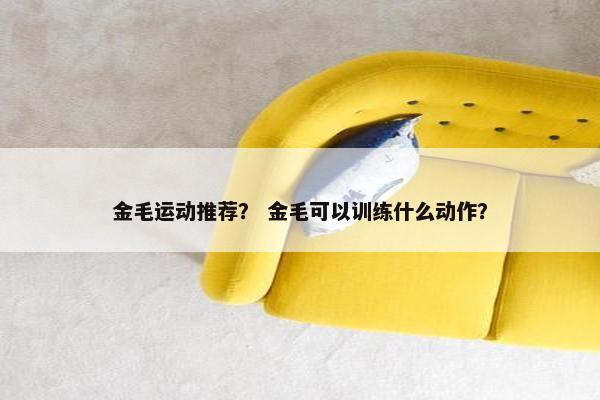 金毛运动推荐？ 金毛可以训练什么动作？