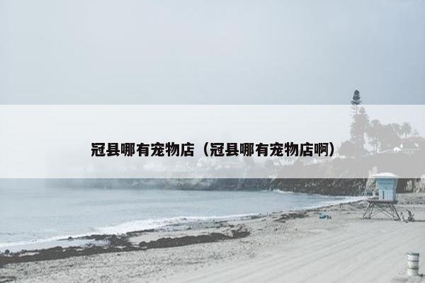 冠县哪有宠物店(冠县哪有宠物店啊) 冠县哪有宠物店(冠县哪有宠物店啊)