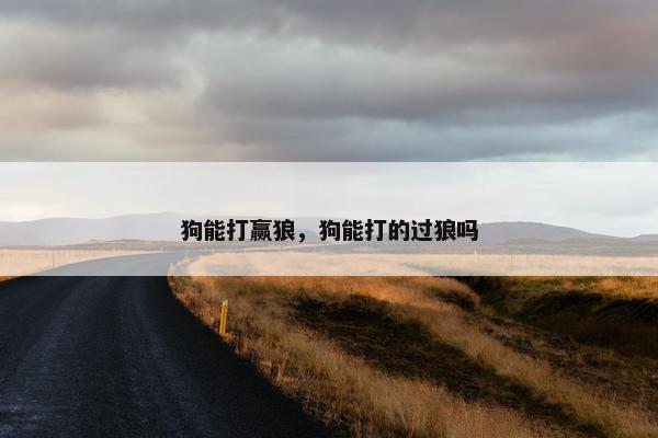 狗能打赢狼,狗能打的过狼吗