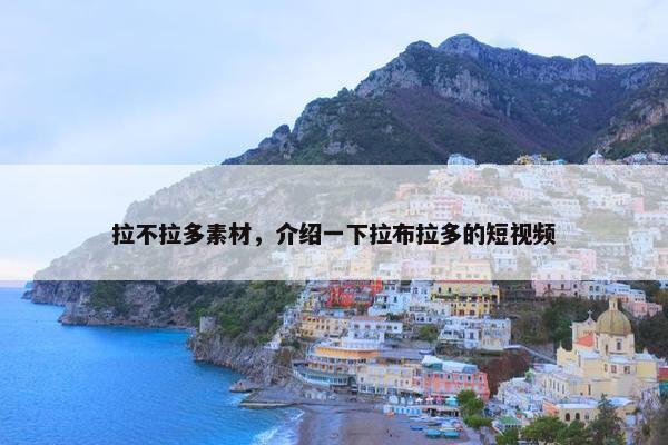 拉不拉多素材，介绍一下拉布拉多的短视频