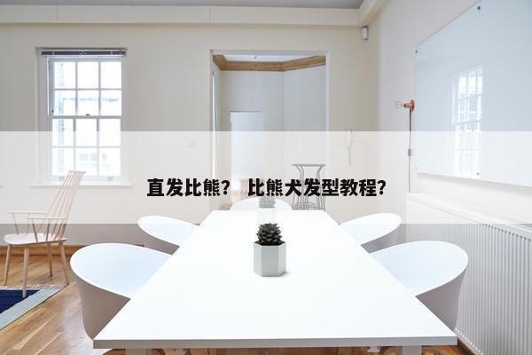 直发比熊？ 比熊犬发型教程？