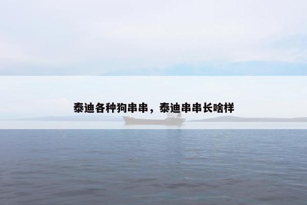 泰迪各种狗串串,泰迪串串长啥样