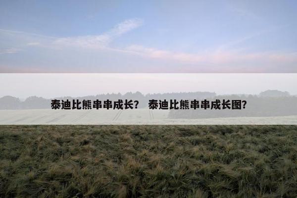 泰迪比熊串串成长? 泰迪比熊串串成长图?