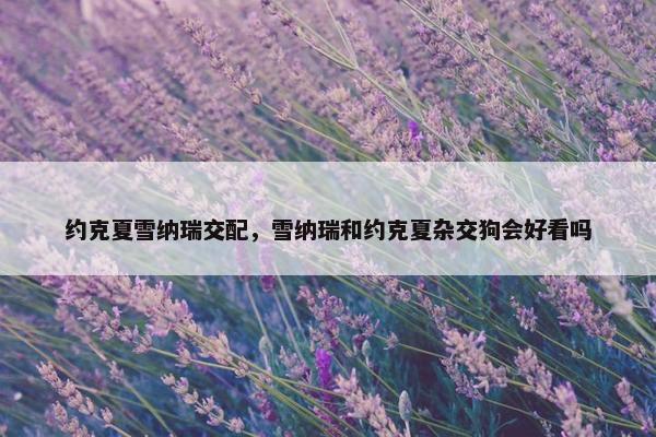 约克夏雪纳瑞交配，雪纳瑞和约克夏杂交狗会好看吗