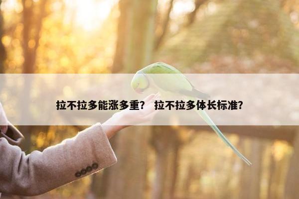 拉不拉多能涨多重？ 拉不拉多体长标准？