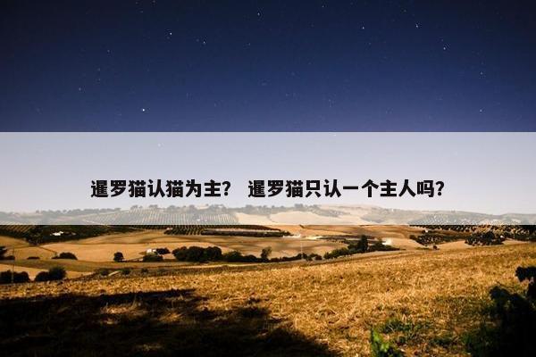 暹罗猫认猫为主? 暹罗猫只认一个主人吗?